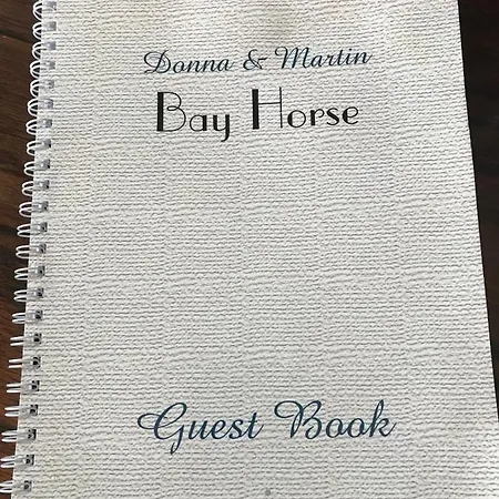 The Bay Horse 2*